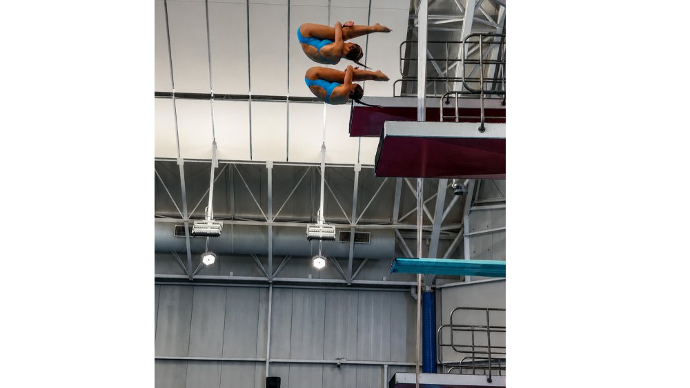 Luka Diving Gold Auckland America