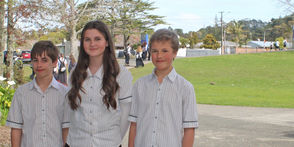Y8 survey