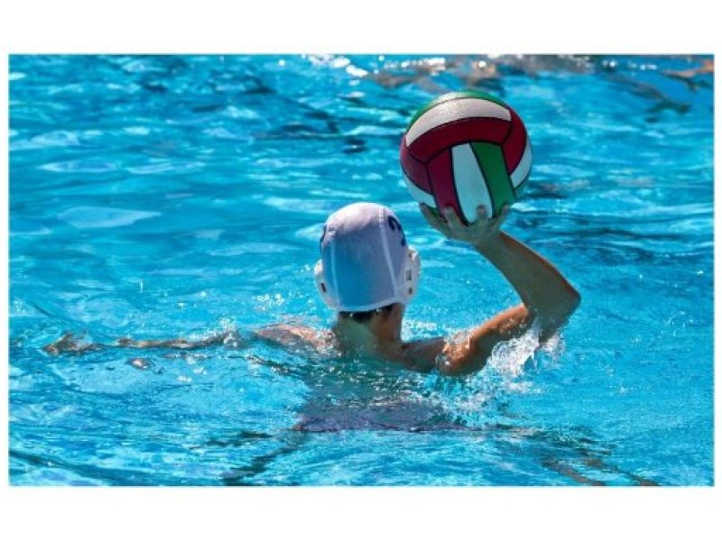 water polo t1 2026