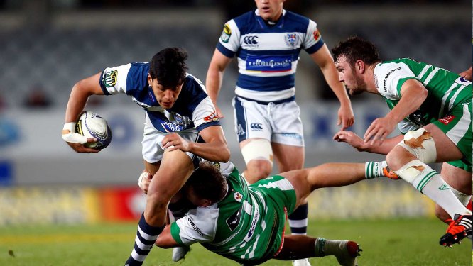auckland rugby