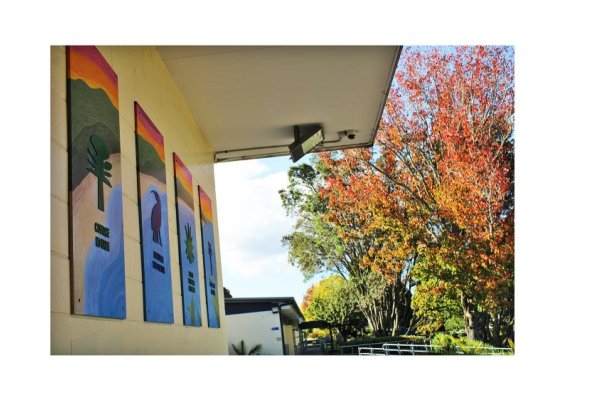 murals