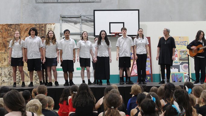 kotuitui performance