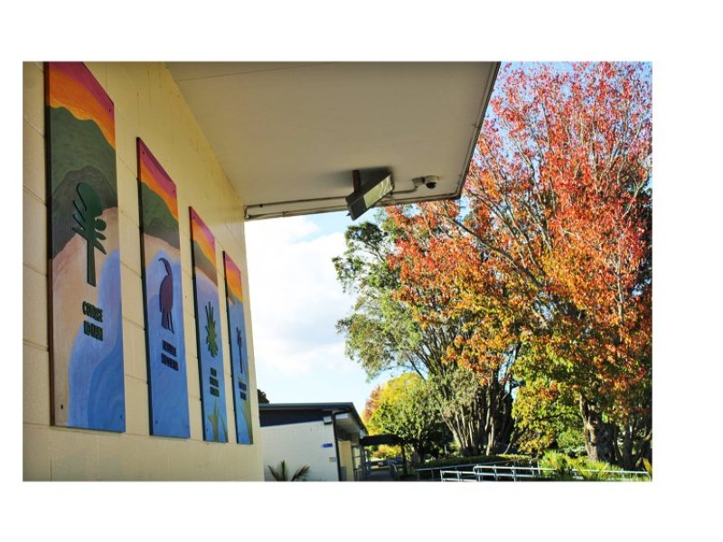 murals