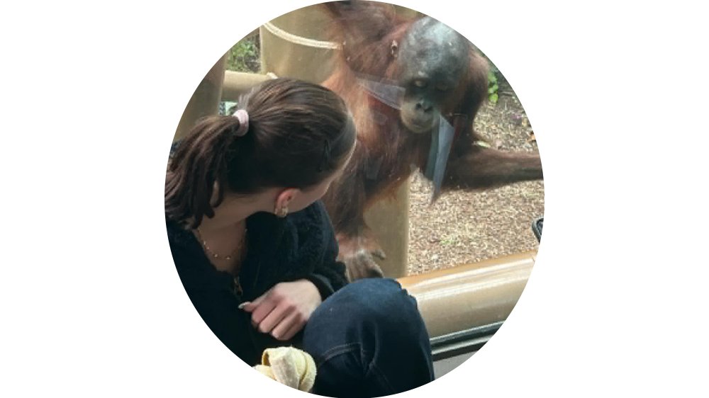monkey business