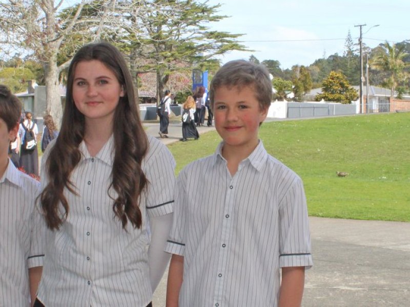 Y8 survey