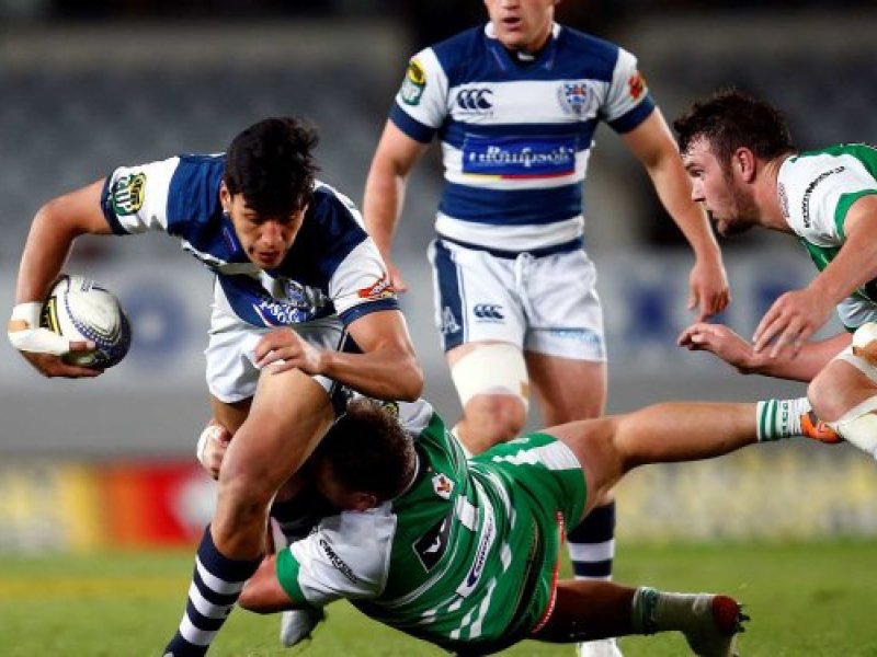 auckland rugby
