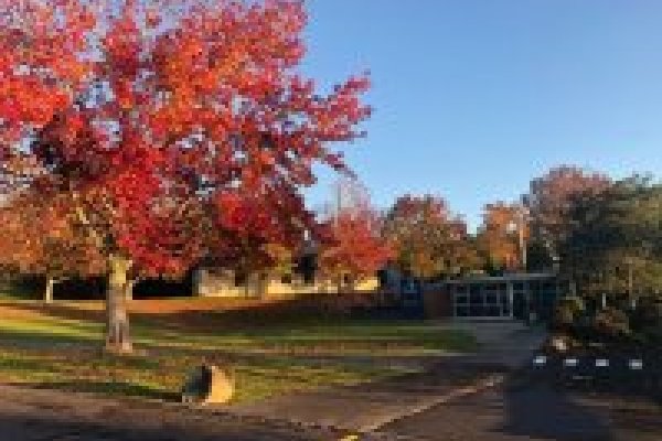 Application Thumbnail Application Thumbnail