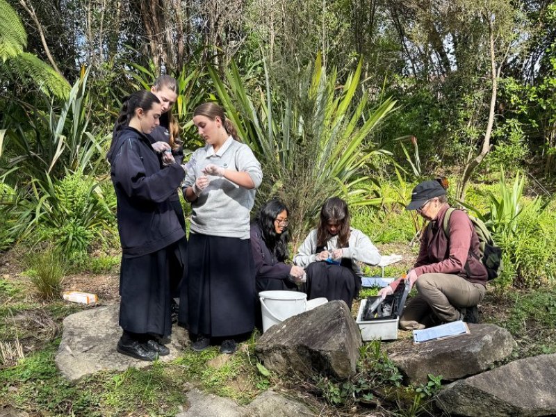 science data collection
