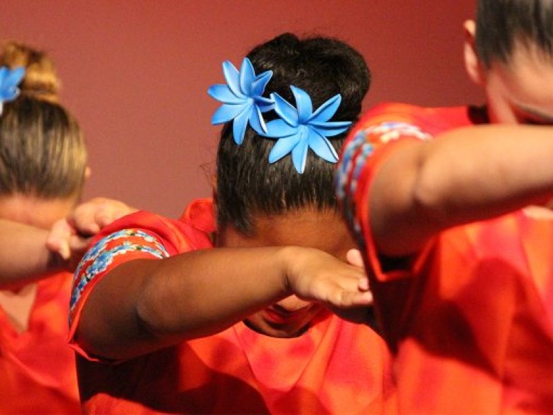 pasifika fusion poly pride