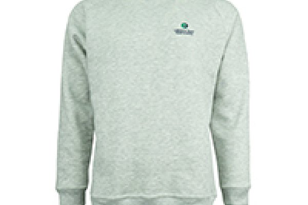 grey sweatshirt