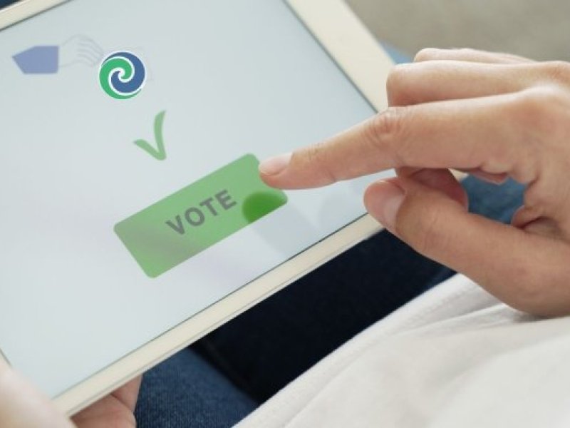 online vote