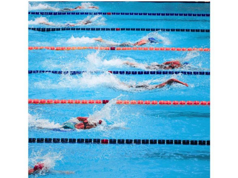 swimming champs