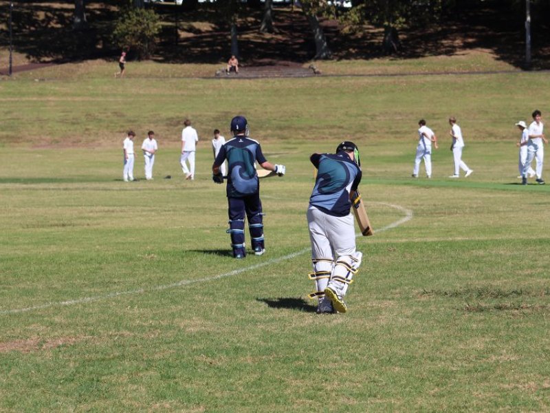 summer sport cricket