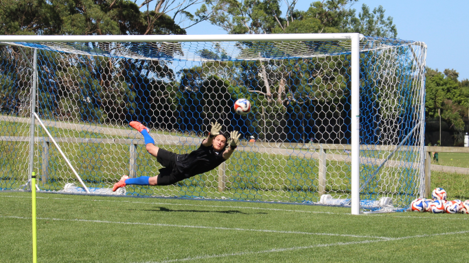 goalkeepers