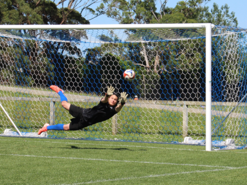 goalkeepers