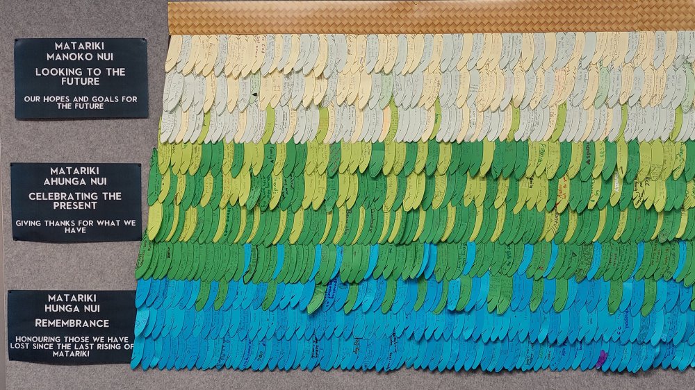 matariki feathers