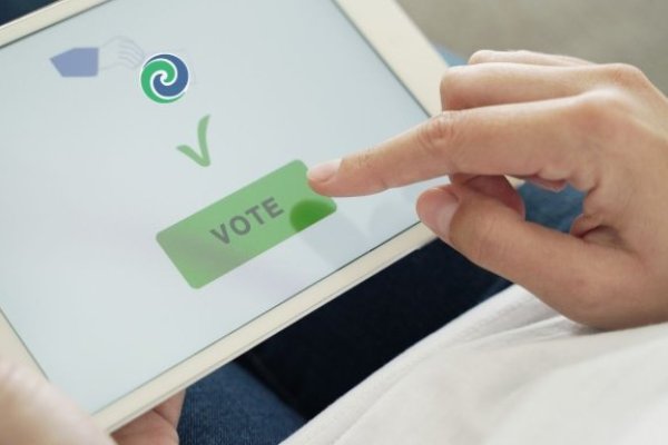 online bot vote