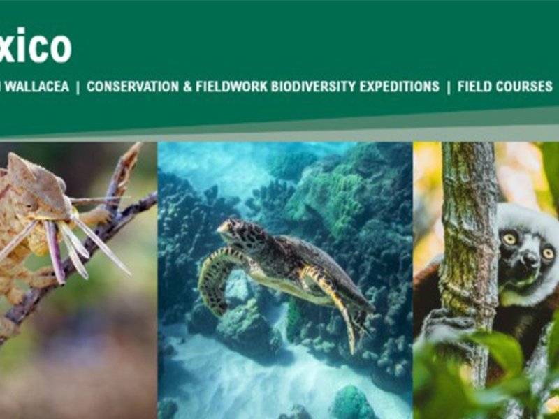 mexico trip 2027 interest form mexico trip 2027 interest form