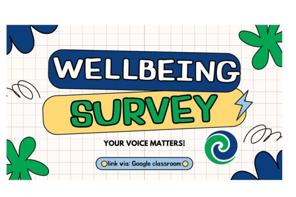 survey