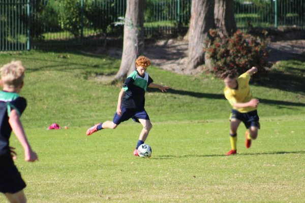 weekly sports report