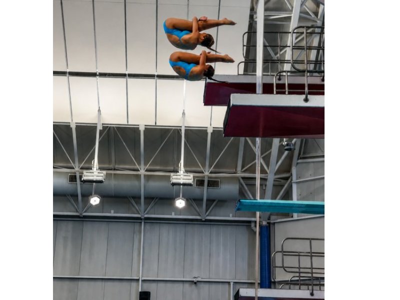 Luka Diving Gold Auckland America