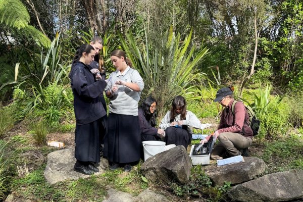 science data collection