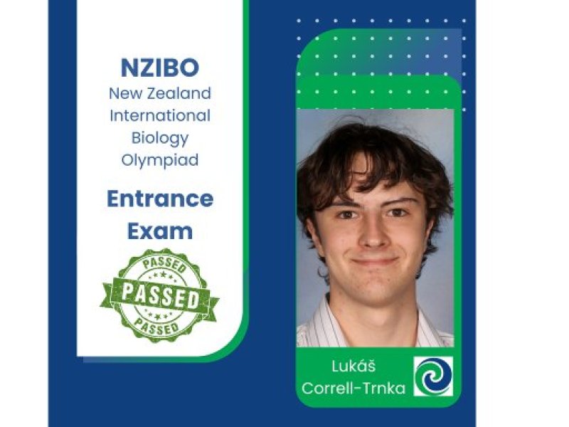 NZIBO NZIBO