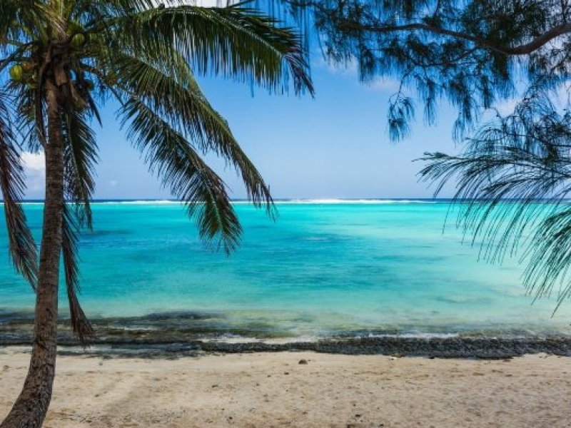 RARO TRIP 2027