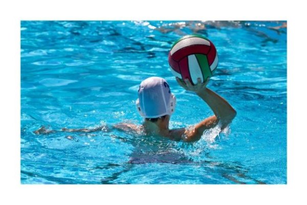 water polo t1 2026