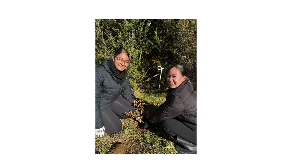 tree planting