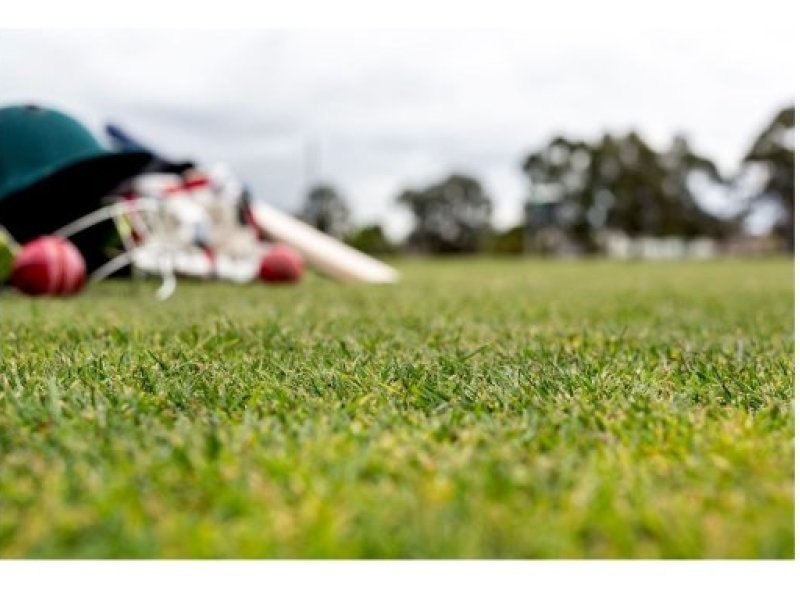 cricket banner