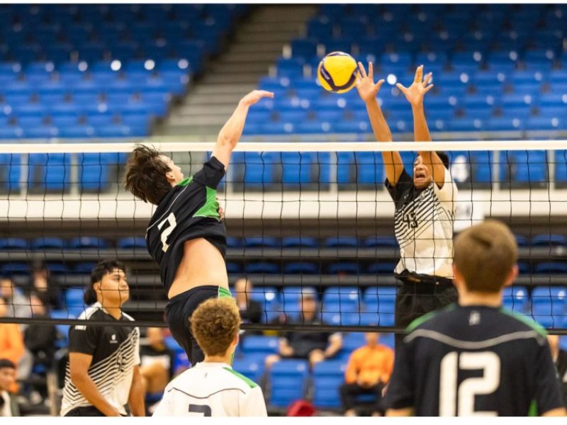 volleyball summer