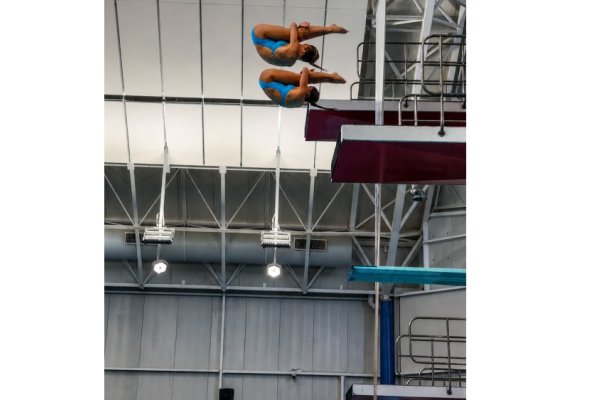 Luka Diving Gold Auckland America