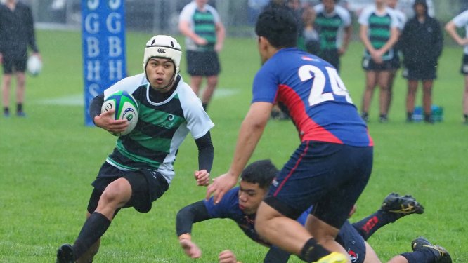 rugby news