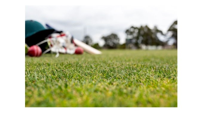 cricket banner