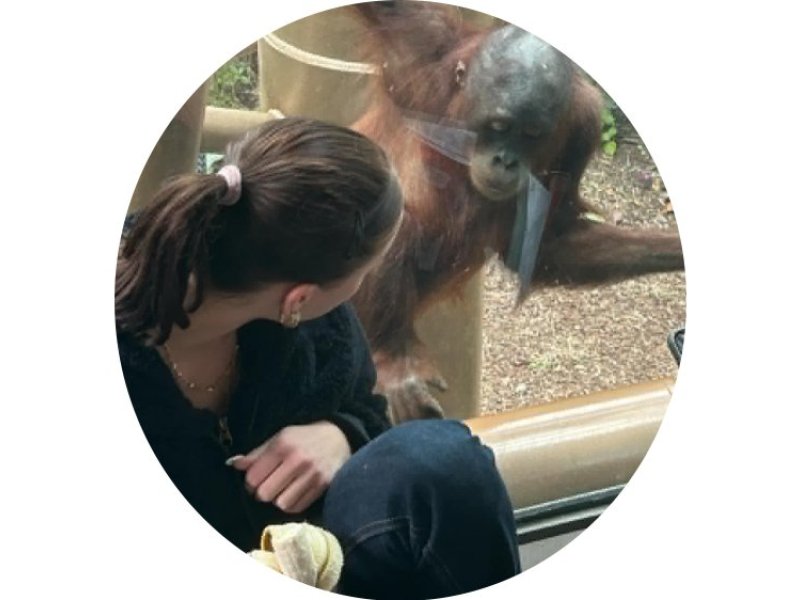 monkey business
