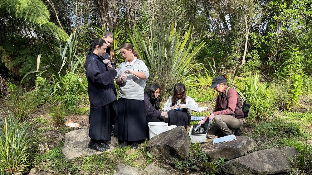 science data collection