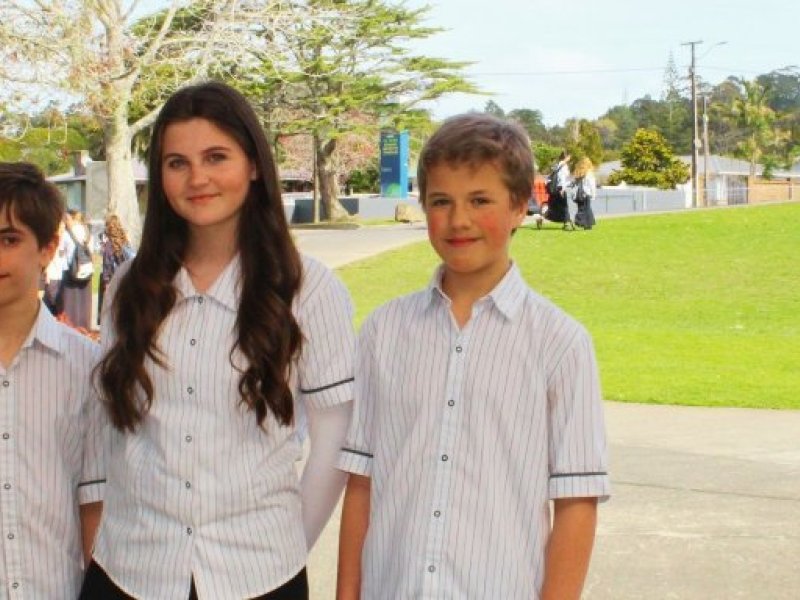 y8 survey