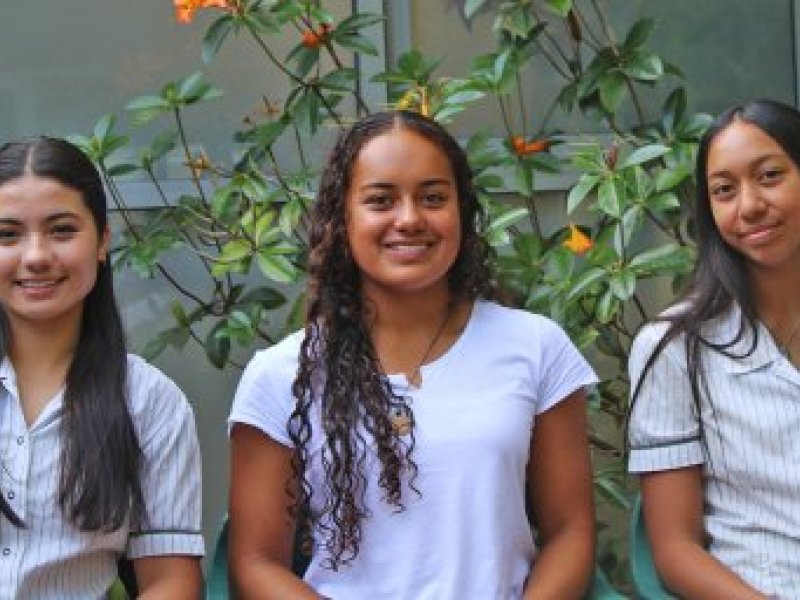 toloa 2024 toloa 2024