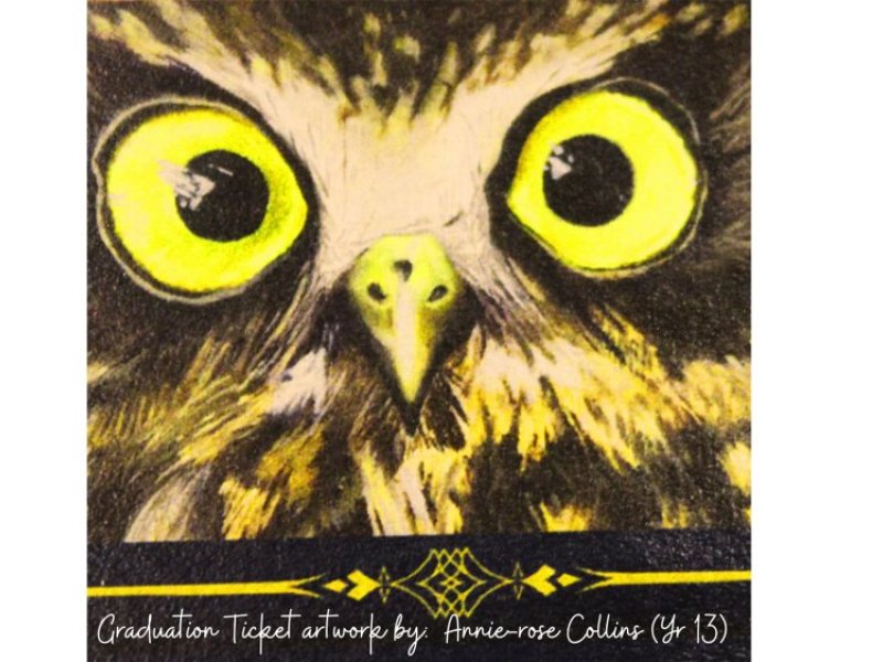 Grad owl Grad owl