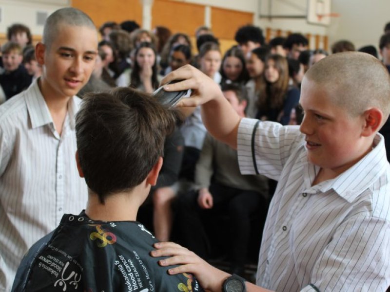shave 2025