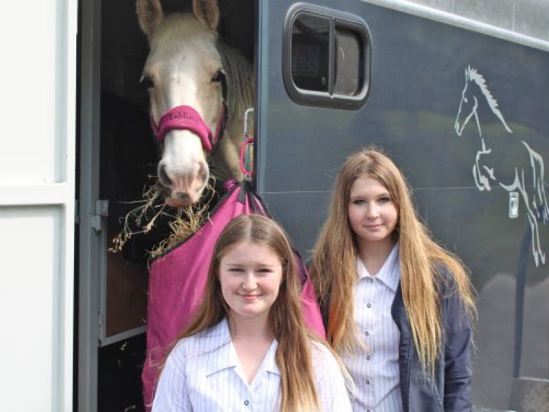 dressage