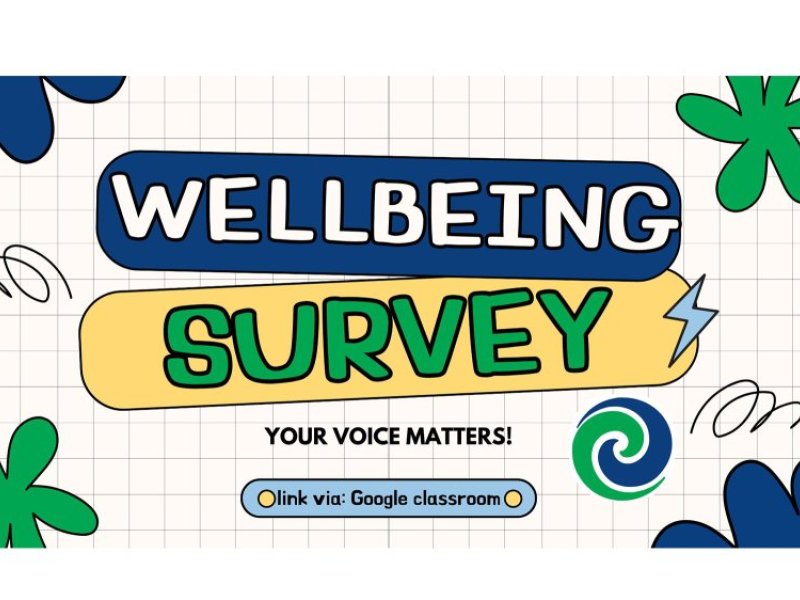 survey