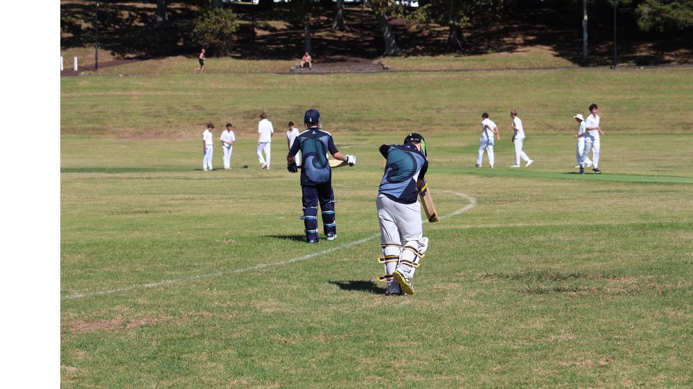 summer sport cricket