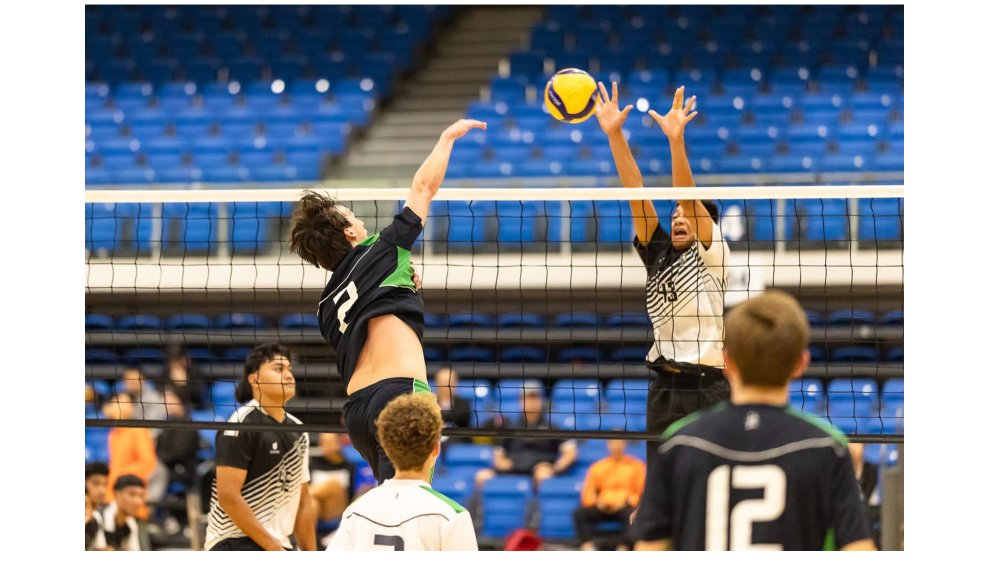 volleyball summer