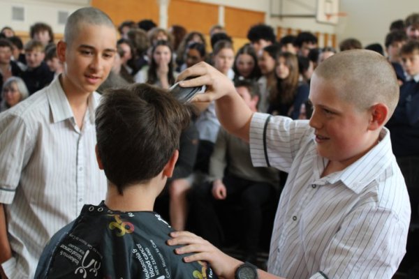 shave 2025