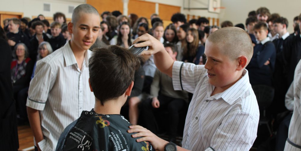 shave 2025