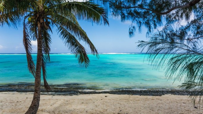 RARO TRIP 2027