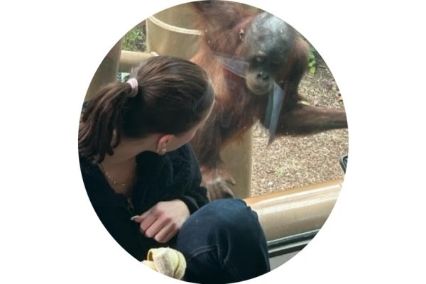 monkey business