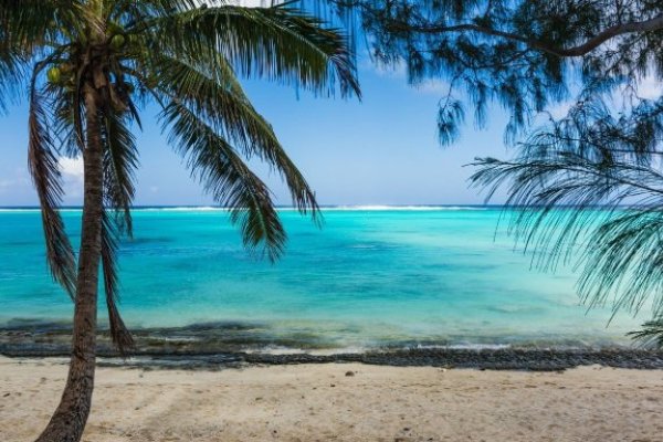 RARO TRIP 2027